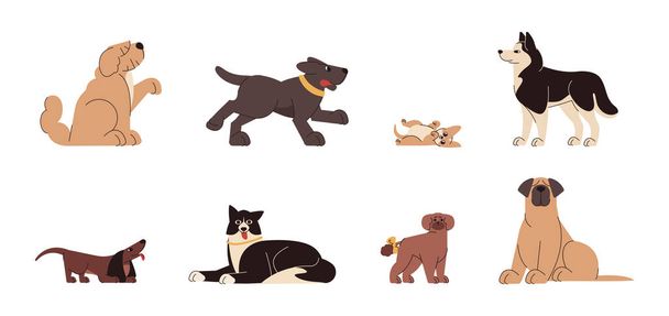 Flat set of various dog breeds and sizes - Vector, imagen