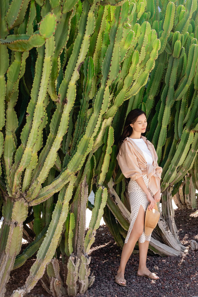 full length view of stylish brunette woman standing near giant cacti in park - 写真・画像