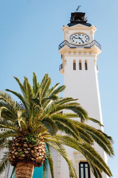 niski kąt widzenia palmy i wieży zegarowej budynku władzy portowej w Walencji, Hiszpania - Zdjęcie, obraz