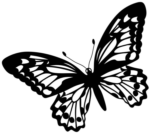 Butterfly. Black and white illustration of a butterfly on a white background. - Foto, immagini