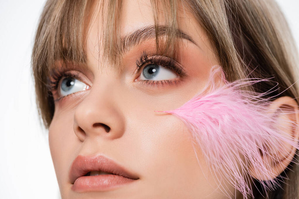 close up of sensual young woman with blue eyes and pink feather on face looking up isolated on white - Φωτογραφία, εικόνα