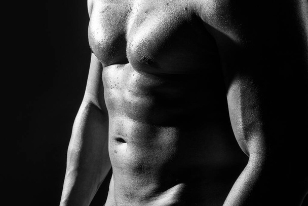 Nude man torso. Cropped body of sexy muscular naked gay. - Foto, imagen