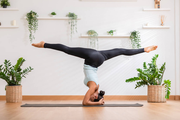 Side view motivate Asian woman wearing sportwear doing Yoga exercise in front windows,Yoga Forearm Stand pose or Pincha Mayurasana.Calm of healthy young woman breathing meditation yoga at cozy home - Foto, immagini