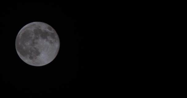 Full Moon at dark night - Video, Çekim