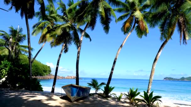 Anse Takamaka strand Mahe Seychelles, trópusi strand pálmafákkal és egy kék óceán - Felvétel, videó