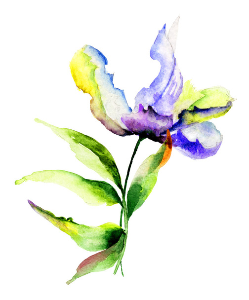 Stylized flowers watercolor illustration - Zdjęcie, obraz