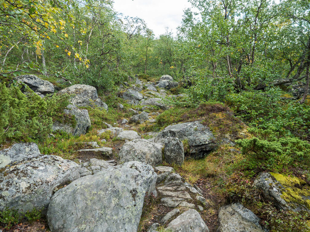 Northern artic landscape, tundra in Swedish Lapland with granite stone and boulders, birch bush, green hills and mountains at Padjelantaleden hiking trail. Summer day. - Foto, immagini