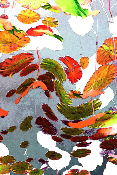 Κομψό σχέδιο μοτίβο παρουσιάζεται με λωτού και φύλλα νούφαρου - Φωτογραφία, εικόνα