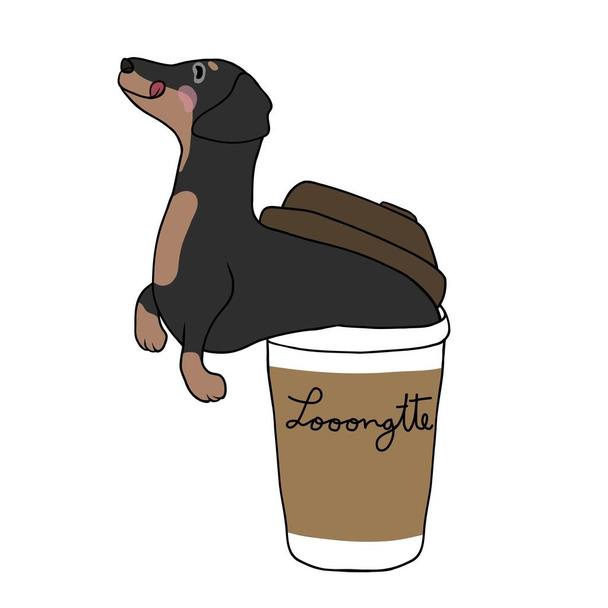 Dachshund dog in coffee cup with Looooongtte word cartoon vector illustration - Vector, Image
