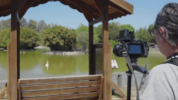 Nature Videographer Shooting Birds at Green Lake in the Park Footage. - Filmmaterial, Video
