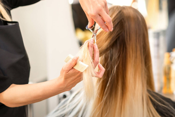 Beautiful young blonde woman with long straight blonde hair getting a haircut at the hairdresser salon - 写真・画像