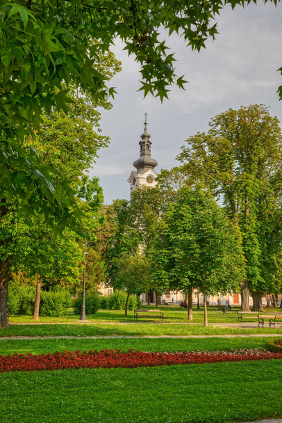 中央公園からのアビラビューのテレサのBjelovar大聖堂 - 写真・画像