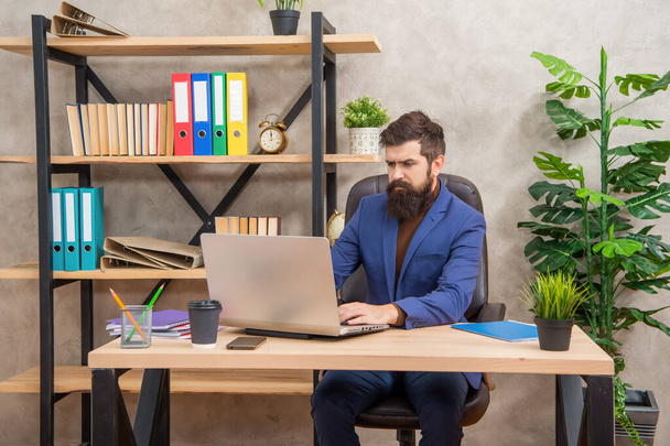 ernsthafte reife Unternehmer arbeiten am Computer im Büro, Geschäft - Foto, Bild