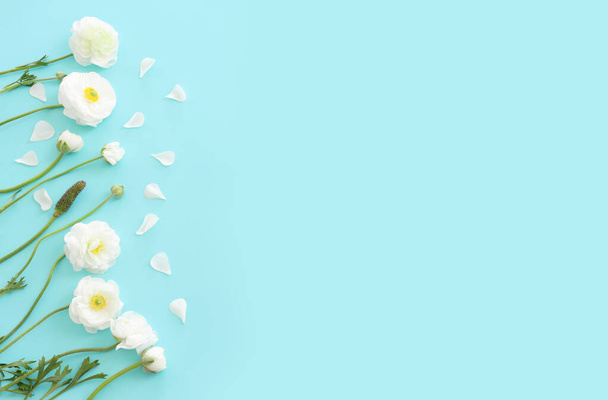 Top view image of white flowers composition over blue pastel background - Foto, afbeelding