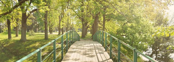 Modern fa híd (sétány) egy zöld lombhullató erdő parkban egy napos tavaszi napon. Puha napfény, napsugarak. Természet, környezetvédelem, ökológia, ökoturizmus, nordic walking, kerékpározás - Fotó, kép