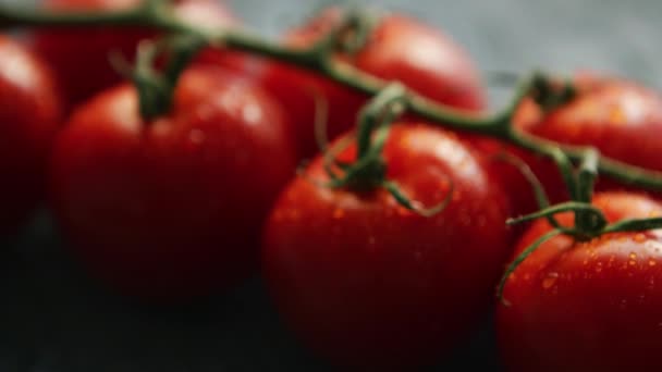 Kypsät punaiset kirsikkatomaatit oksalla
 - Materiaali, video