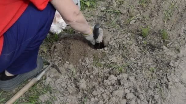 Εργασία ως ελικόπτερο για τη χειρωνακτική επεξεργασία των κλινών κήπου στο χωριό - Πλάνα, βίντεο