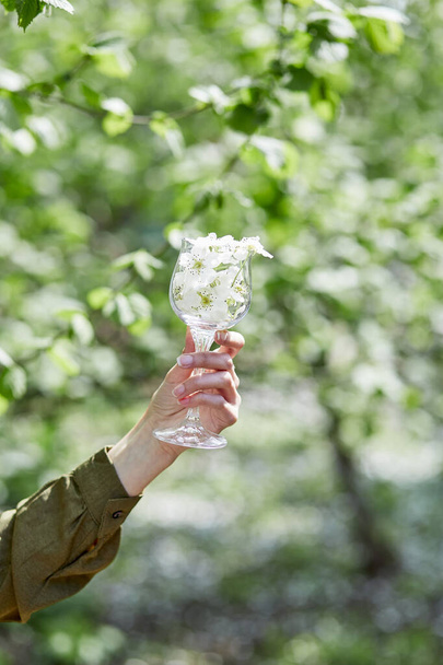 Woman hand holds a glass of wine full of blooming tree's flowers. Cottage core aesthetic, connecting with nature, enjoy the little things, naturecore, calm lifestyle, and sustainable life concept. - Photo, Image