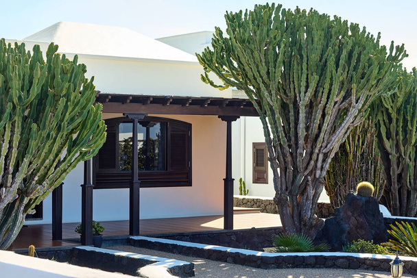Traditional white spanish house with big Cactus in front - 写真・画像