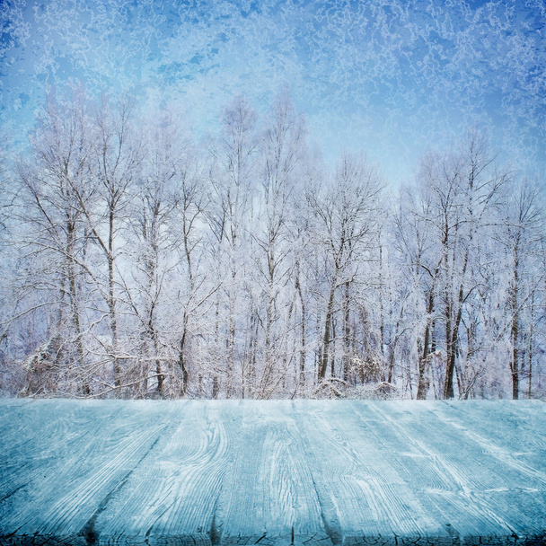 Camino de invierno
 - Foto, imagen
