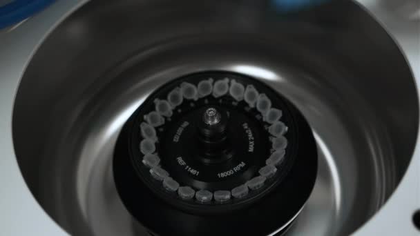 Vrouwelijke laboratoriumtechnicus in rubberen handschoenen vult een centrifuge en sluit de dop.  - Video