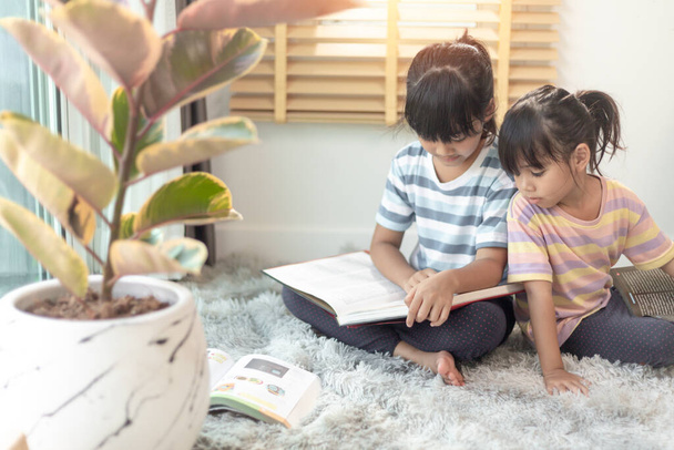 Soustředění sourozenci čtou knihu - Fotografie, Obrázek