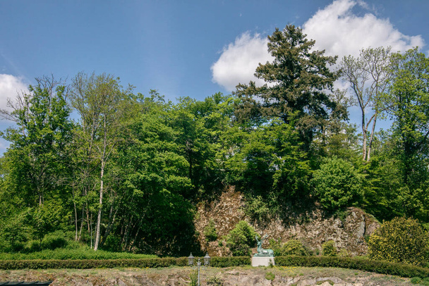 Bos bij kasteel Wittgenstein op de heuvel van Bad Laasphe - Foto, afbeelding