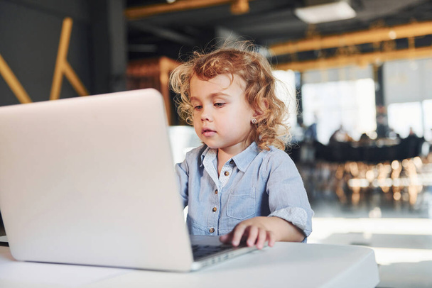 Smart child in casual clothes using laptop for education purposes or fun. - Valokuva, kuva