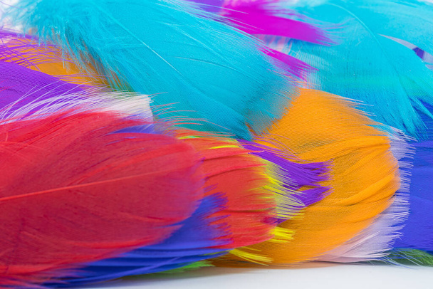 Many colorful feather texture background - Fotó, kép