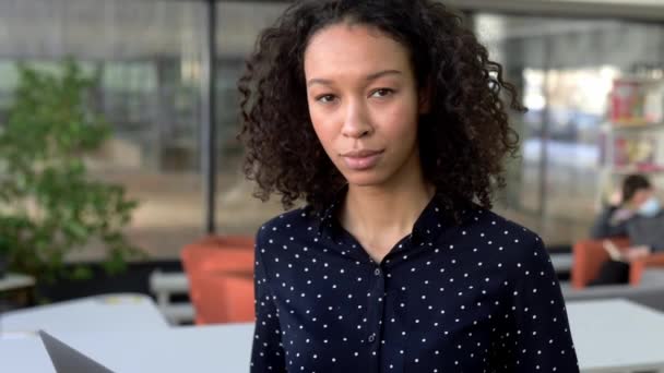 Portrait of curly attractive positive african american girl, pleasant young business woman, student or freelancer, real estate agent, standing in office, looking at the camera, smiling friendly - Metraje, vídeo