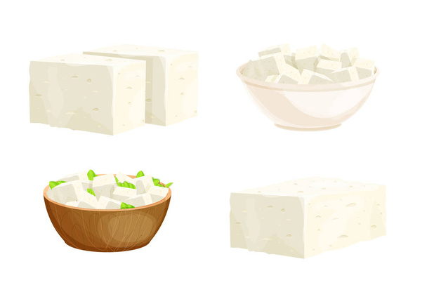 Set feta cheese pieces, tofu portion in bowl in cartoon style detailed ingredient isolated on white background. Greek curd white cheese made from sheep milk or milk bean.  - Vektor, Bild