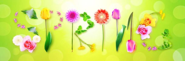 SPRING decorative inscription with letters. Creative spring concept. - Photo, Image