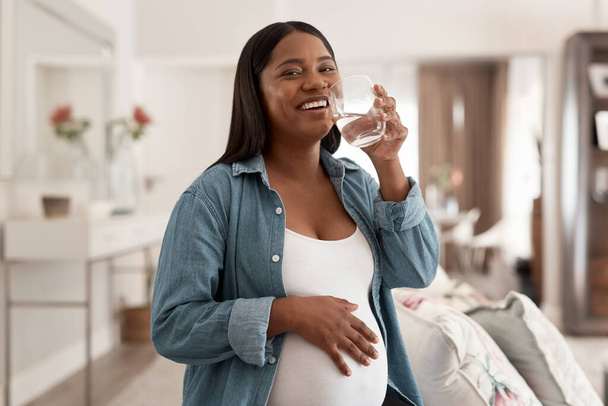 Musím zůstat hydratovaný pro dobré zdraví. Portrét těhotné ženy, která doma pije sklenici vody. - Fotografie, Obrázek