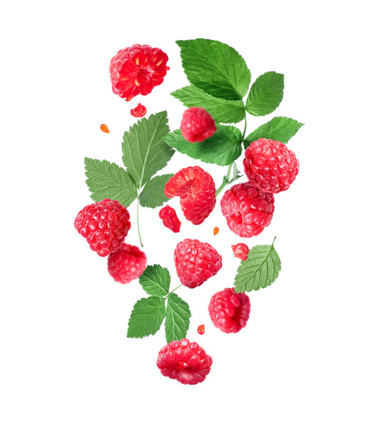 Ripe raspberries with leaves in the air isolated on a white background - Fotoğraf, Görsel
