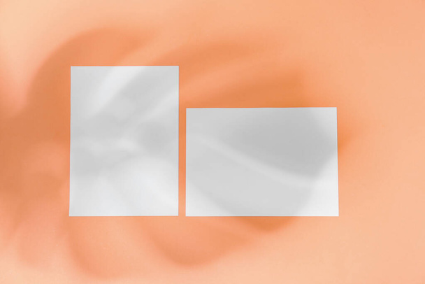 Два бумажных листа и тень пальмового листа на цветном фоне - Фото, изображение
