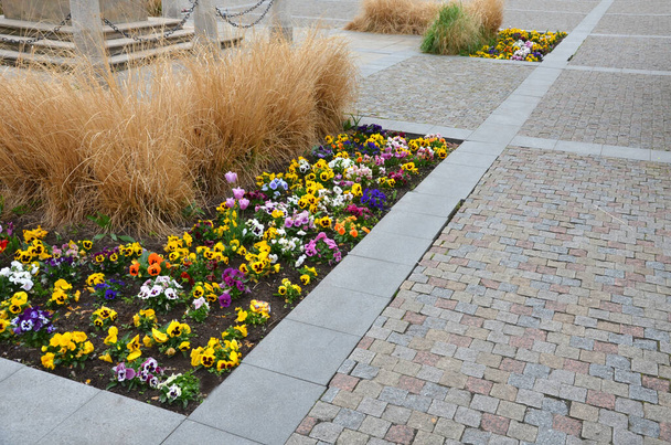 ornamental flower beds on a regular floor plan in the middle of a square made of granite paving. L shaped flower beds with dry ornamental grasses and lots of colorful flowers Easter decorations - Foto, immagini