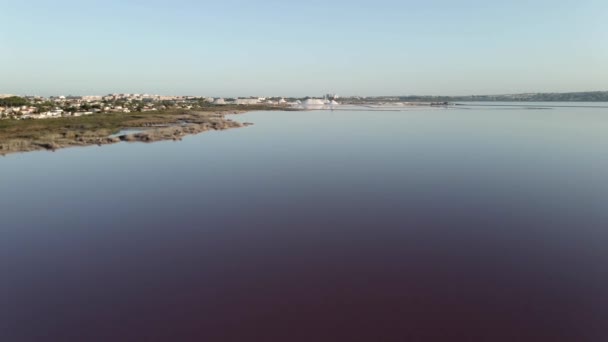 アリカンテ・スペインのTorreevieja市のLas Salinasの塩工場に向かって湖を速く飛ぶ。空中ドローン - 映像、動画