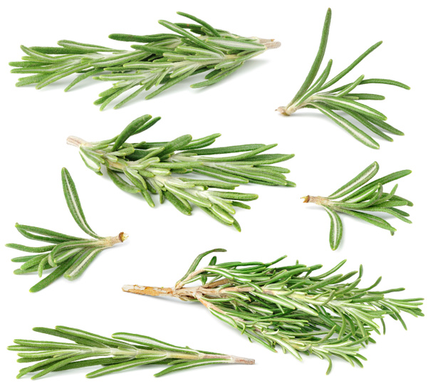 Rosemary collection - Photo, Image