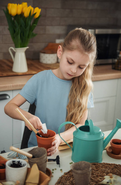 Little girl sitting at the table at home, sowing seeds into flower pots. Home gardening  - Photo, Image