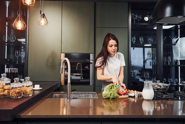 Young beautiful brunette in casual clothes preparing healthy food in kitchen at daytime. - Foto, Imagen