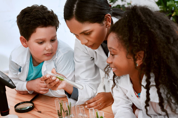 Обучение подпитывается любопытством. Фотография очаровательного мальчика и девочки, изучающих растения со своим учителем в школе. - Фото, изображение