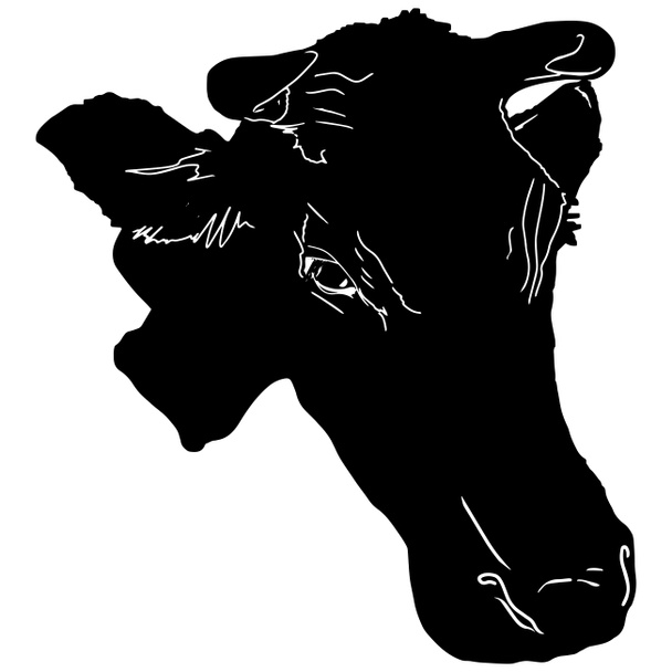 Sıraya dizilmiş bir ineğin izole bir tasviri. Giysi, ambalaj, tasarımcılar, çiftçiler, et restoranları için boş logo - Fotoğraf, Görsel