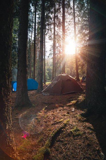 Tent camp among tall conifers. Warm beautiful morning sunrise, sunset. Brown tent with quick installation system. and a blue tent. Rays of the sun. The concept of tourism and recreation. - Photo, Image