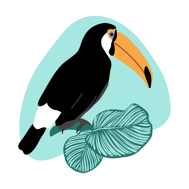 Summer card with toucan and calathea leaves on abstract spot background, tropical exotic bird with big beak and green jungle leaves vector illustration - Vektor, kép
