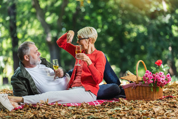 Happy senior couple having a picnic in park, making a toast. - Фото, изображение