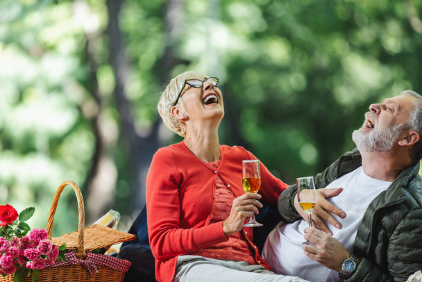 Heureux couple de personnes âgées ayant un pique-nique dans le parc, faire un toast. - Photo, image
