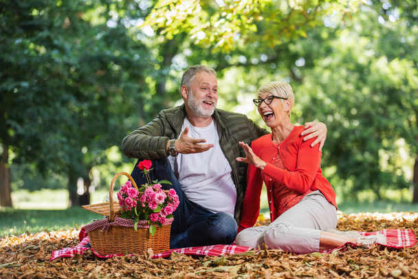 Heureux couple de personnes âgées ayant un pique-nique dans le parc - Photo, image