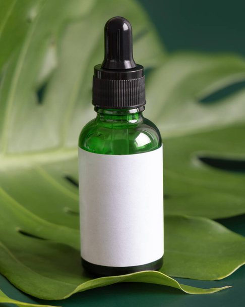 Dropper Bottle on tropical monstera leaf on green table close up. Brand packaging mockup. Aromatic oil, skincare beauty product, cream or serum. Natural herbal cosmetics concep - Valokuva, kuva
