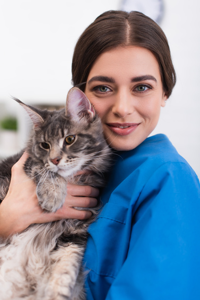 Positive doctor holding maine coone and looking at camera in vet clinic  - 写真・画像