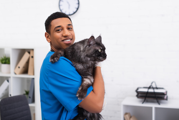 Positive african american doctor in uniform holding maine coon in vet clinic  - 写真・画像